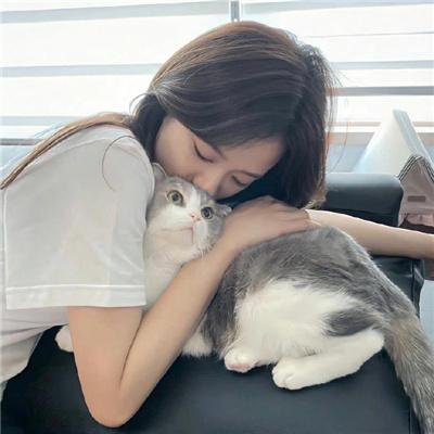丝黛芬妮